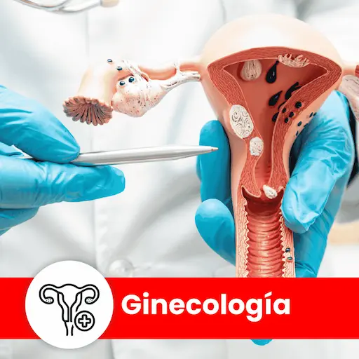 Nutrición clínica