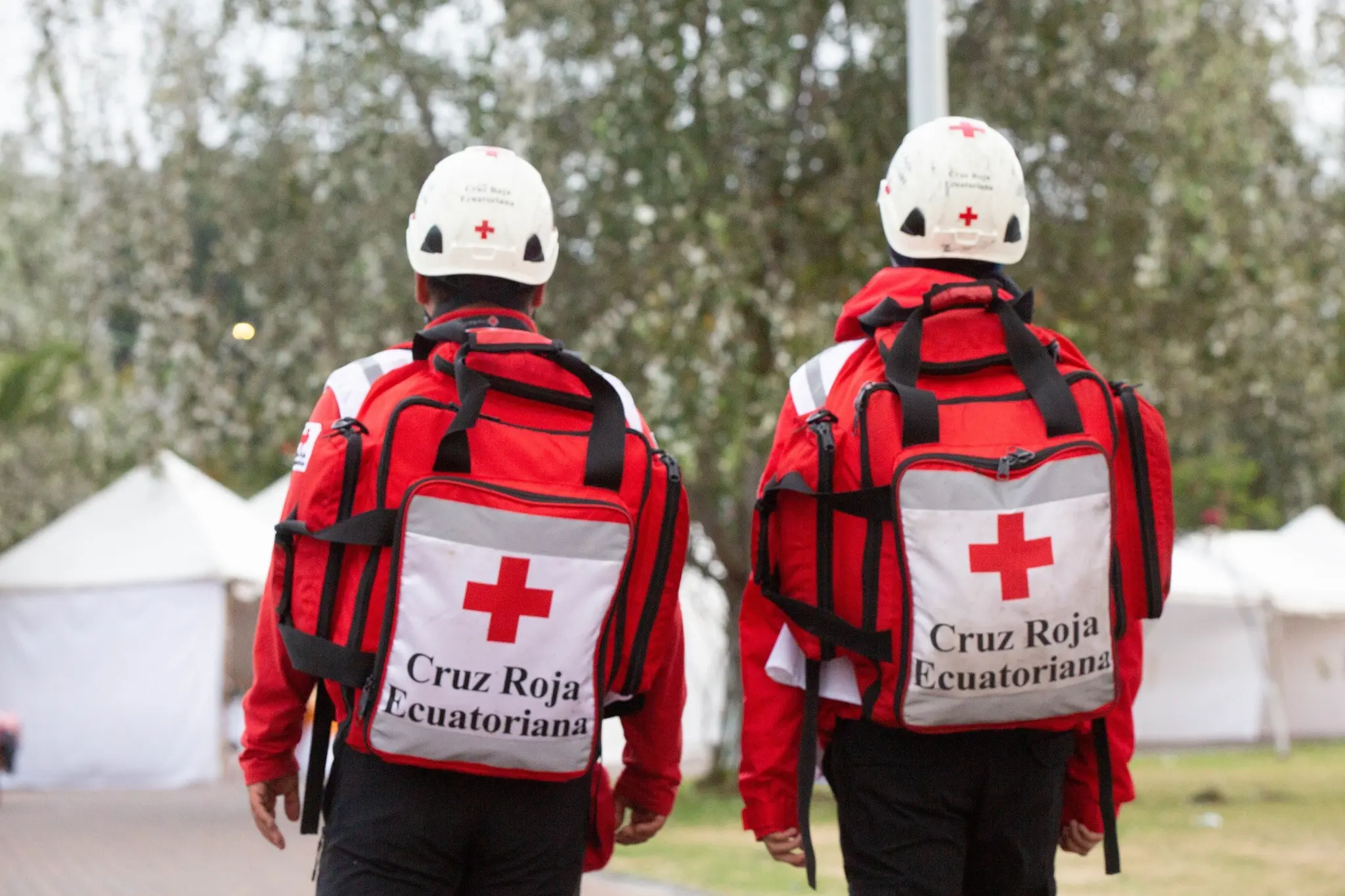 Voluntariado en acción